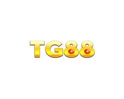 Thiết Bị Điện Tử 